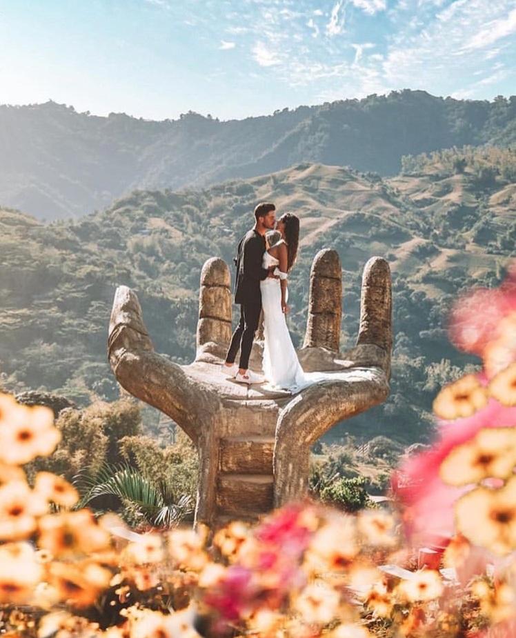 love, flowers, couple and view