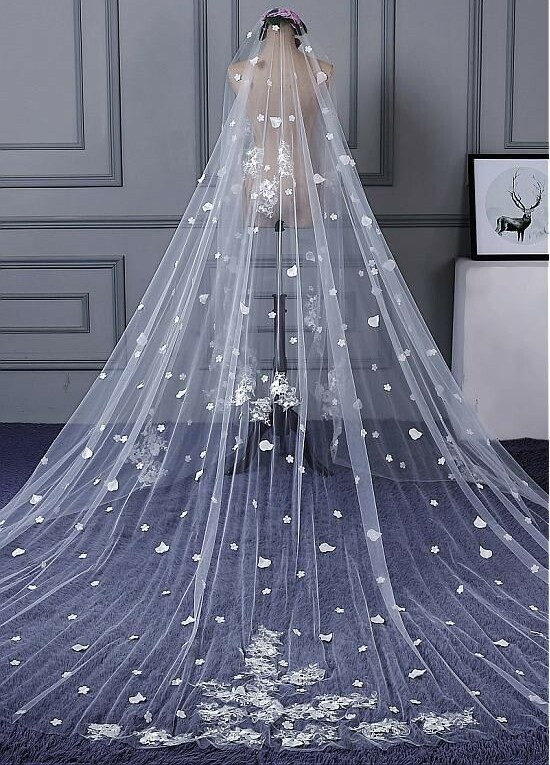 veils, bridal, wedding dress and rings