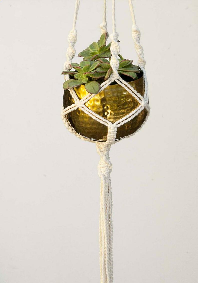 air plant, plant lover, hanging planter and small planter