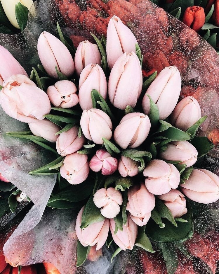 pink flowers, nature, bouquet and wedding flowers