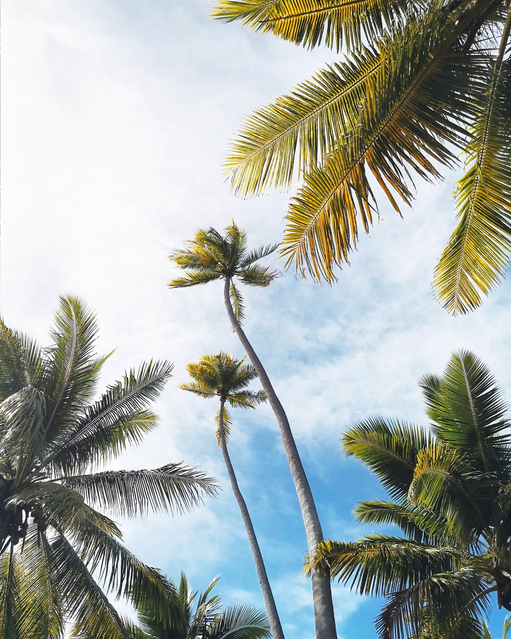 wordofencouragement, coupleretreat, vacation and nature