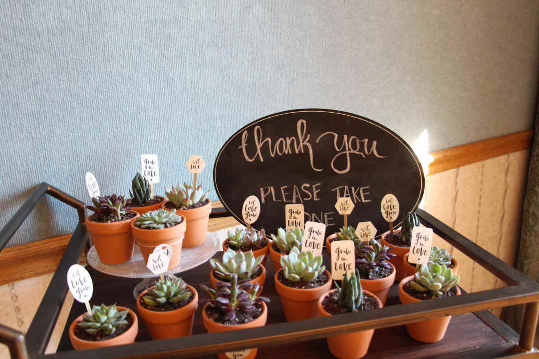 gardening, bridal shower, succulents and succulent theme