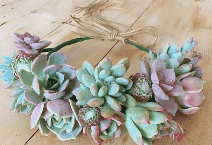 gardening, succulent theme, bridal shower and succulents