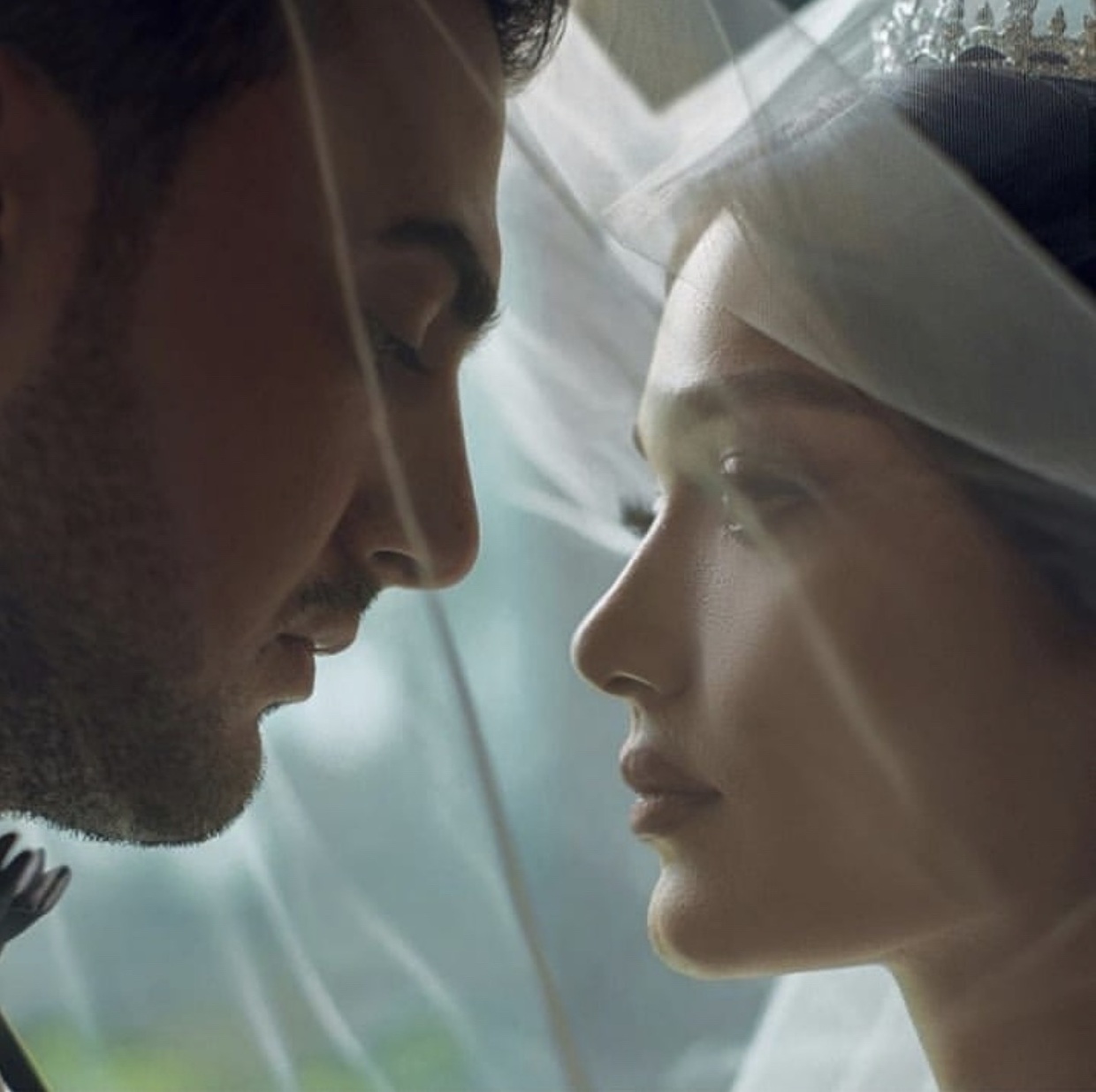 regard, sentiment, amour and love