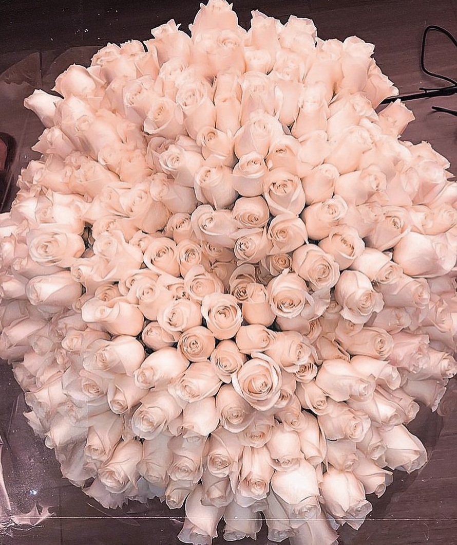 rose, floral, white and goals