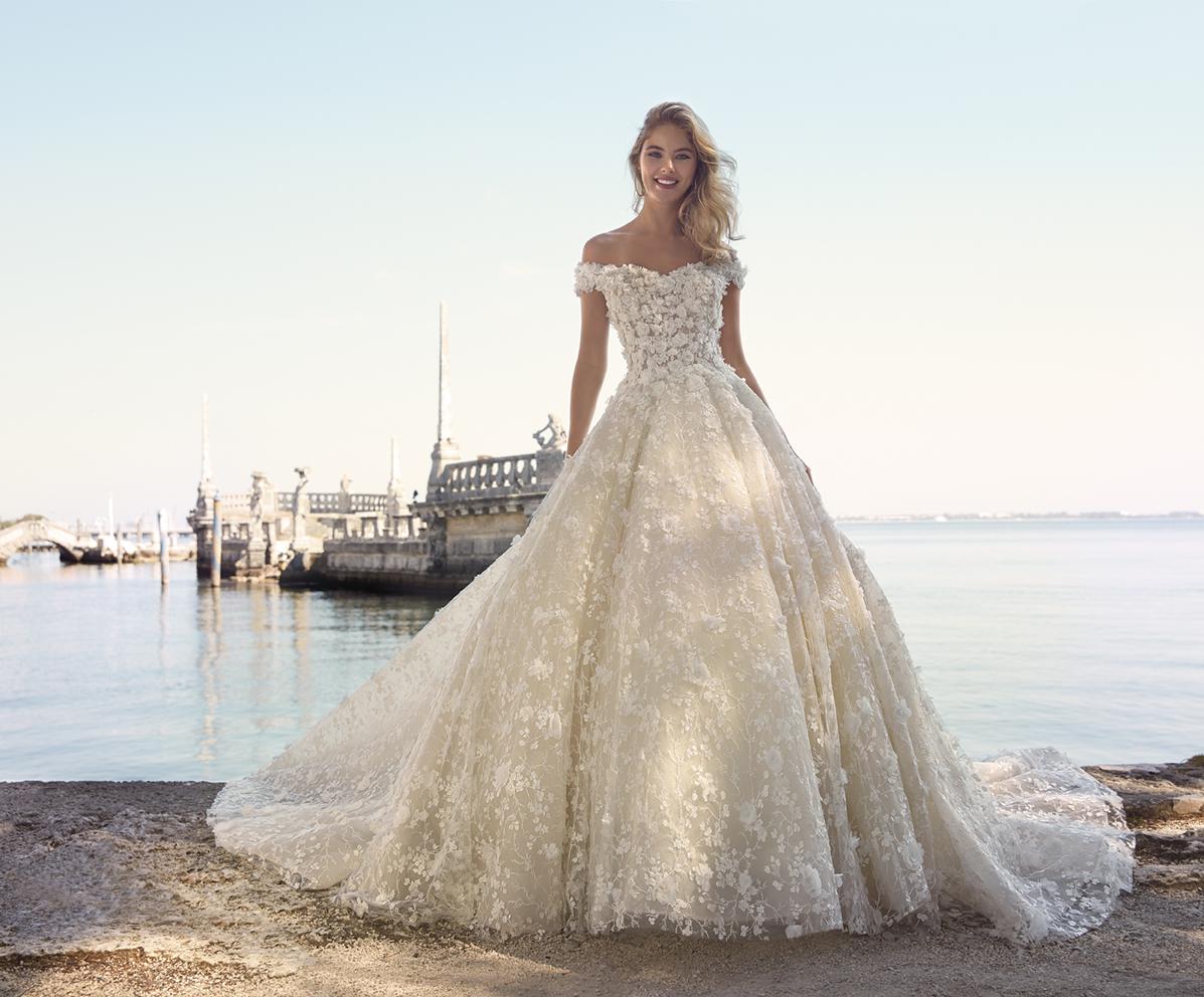 ball gown, gown and haute couture