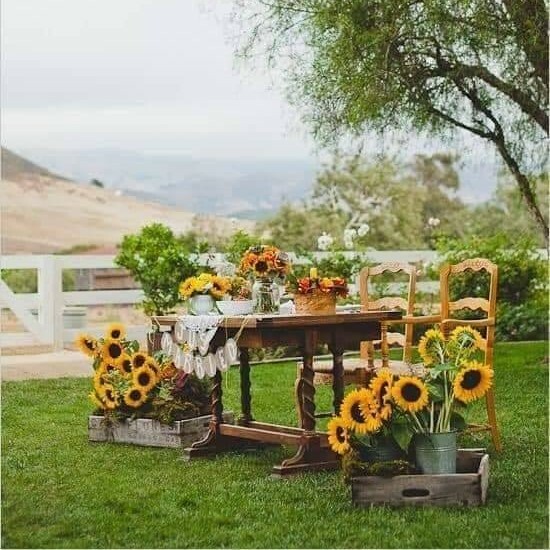 sunflowers wedding, wedding inspirations, sunflowers decorations and just married