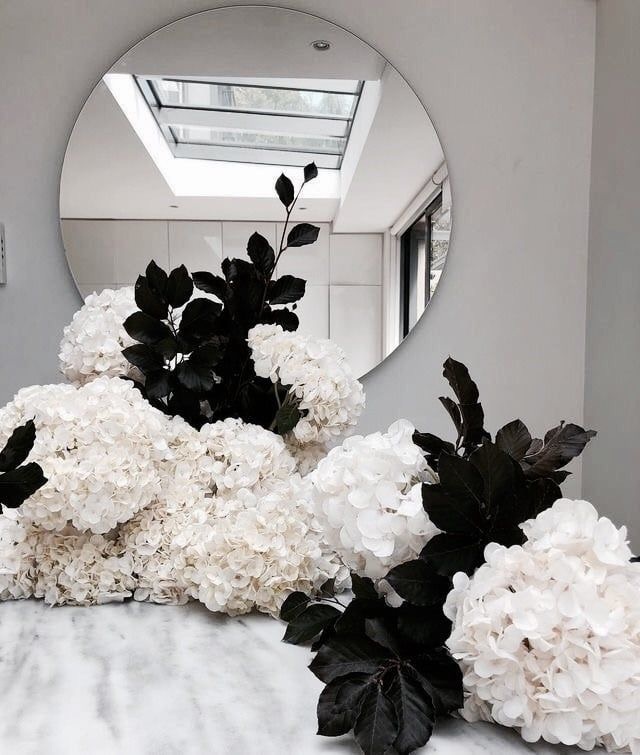 nature, photography, floral and flowers