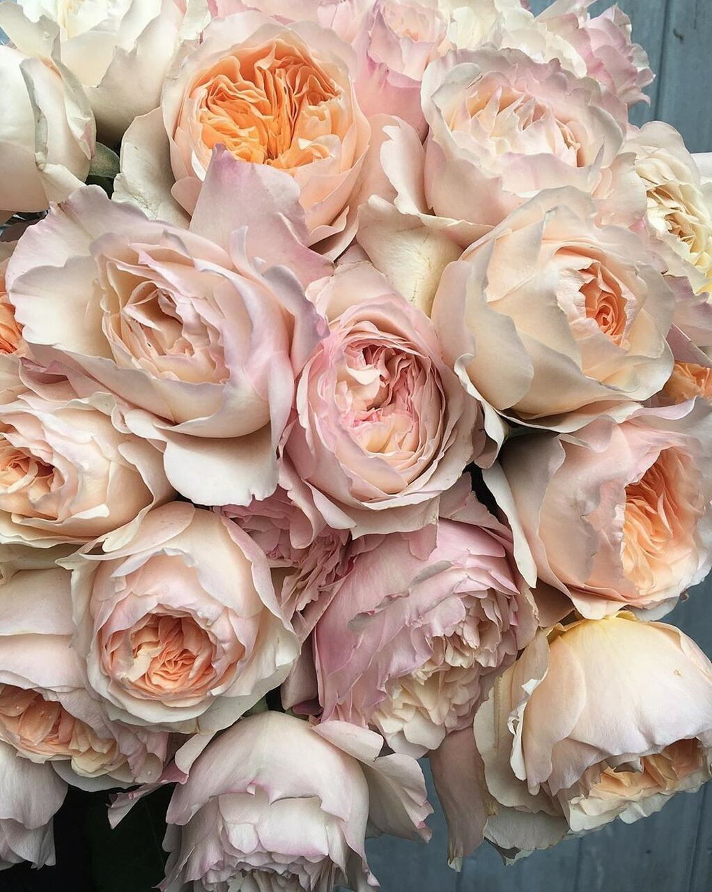 style, love, beauty and flowers