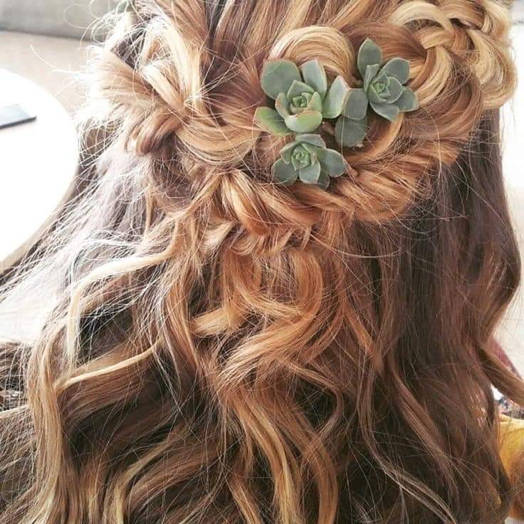 suculentas and hairstyle