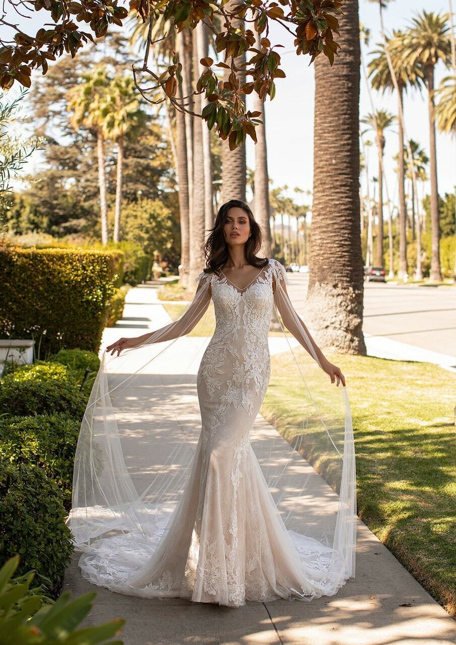 novia, elegancia, boda and moda