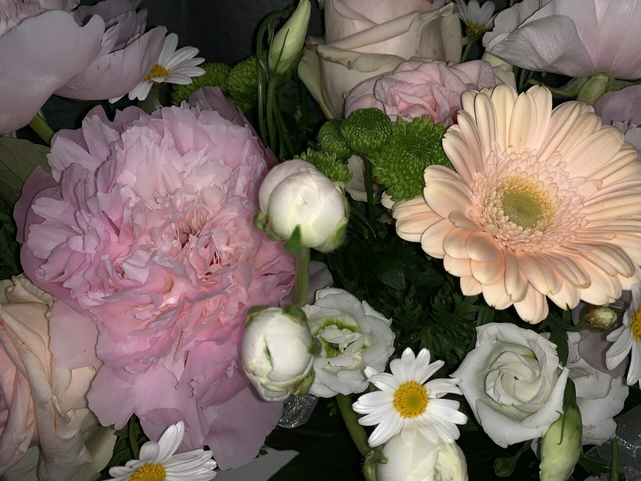 arancione, margherite, estate and rosa