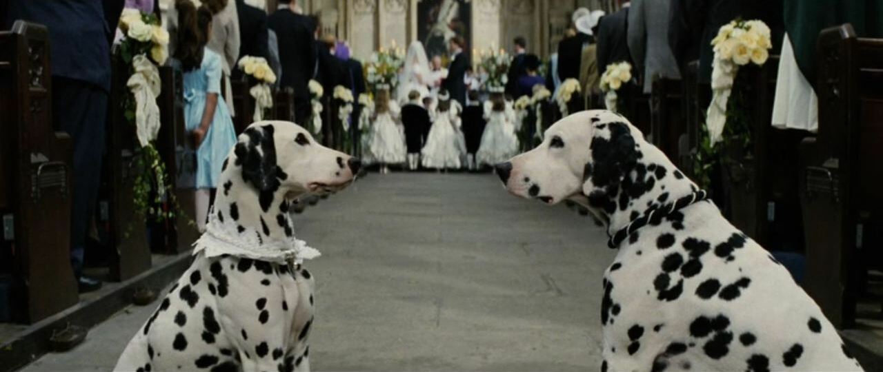 dog, 1996, disney and 101 dalmatians