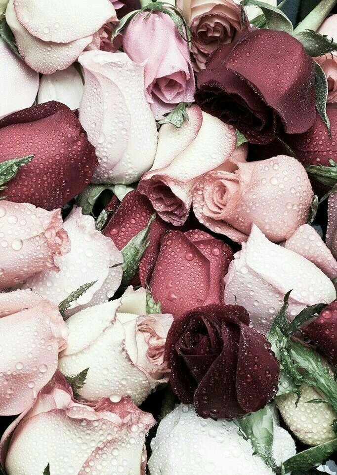 pink, rain, photography and white
