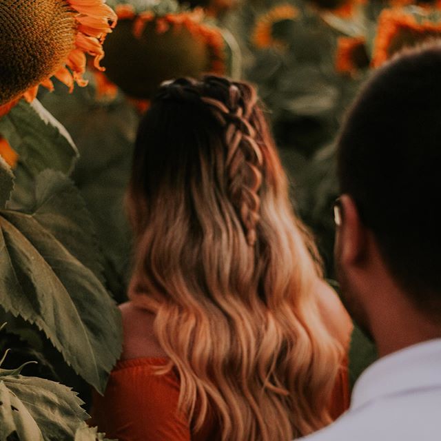 girassol, photograpy, couple and romanceaisfotografia