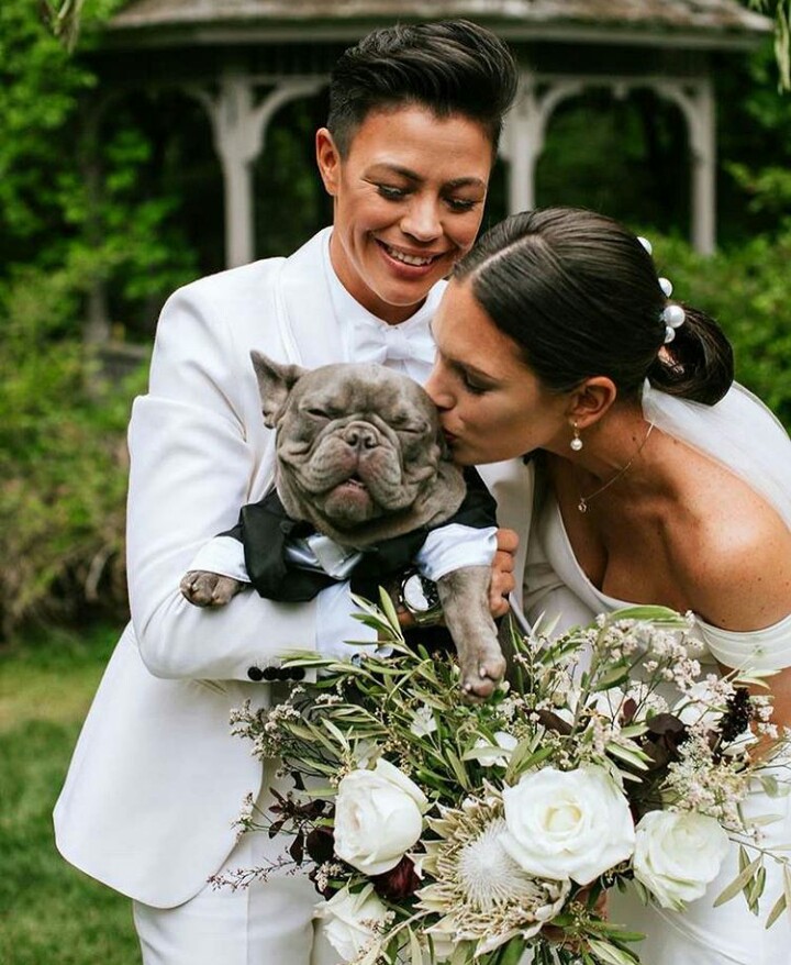 photography, couple, love and boda