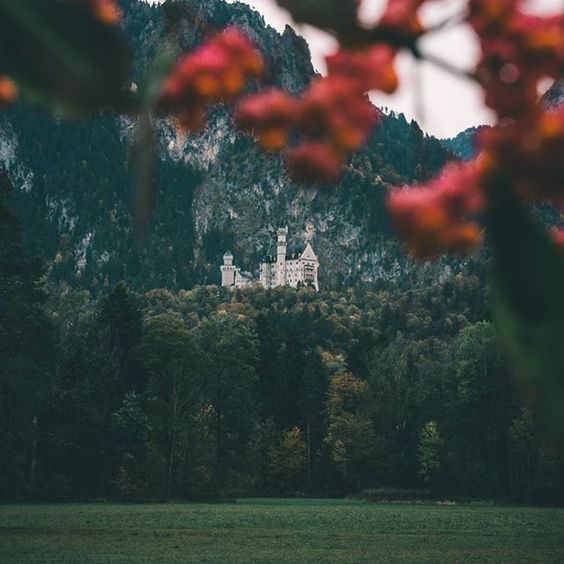 prince, beauty, fairytale and castle