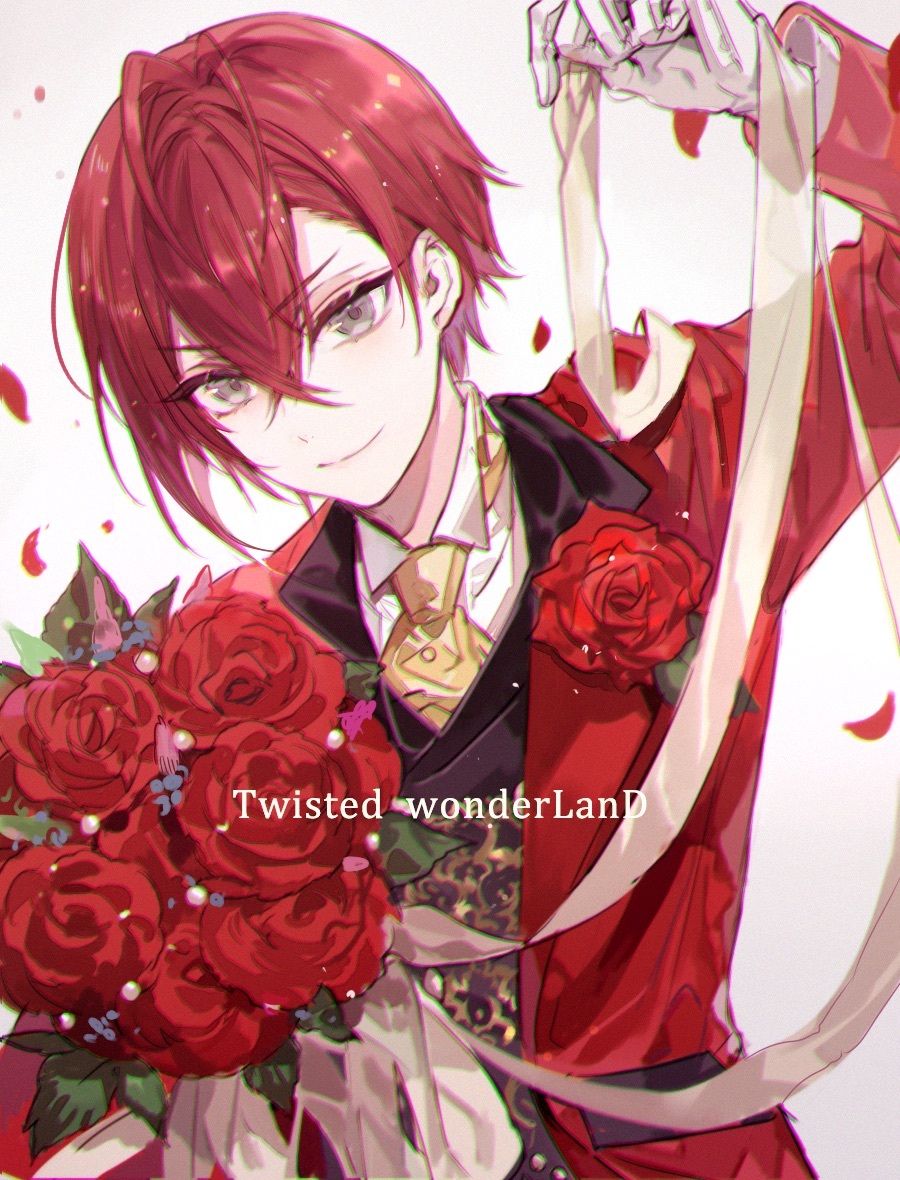 riddle rosehearts, disney, heartslabyul and handsome