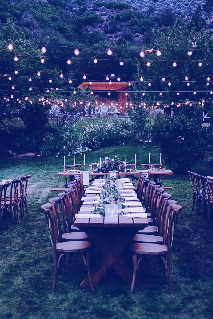 led lights, forest, fantasy and aesthetic