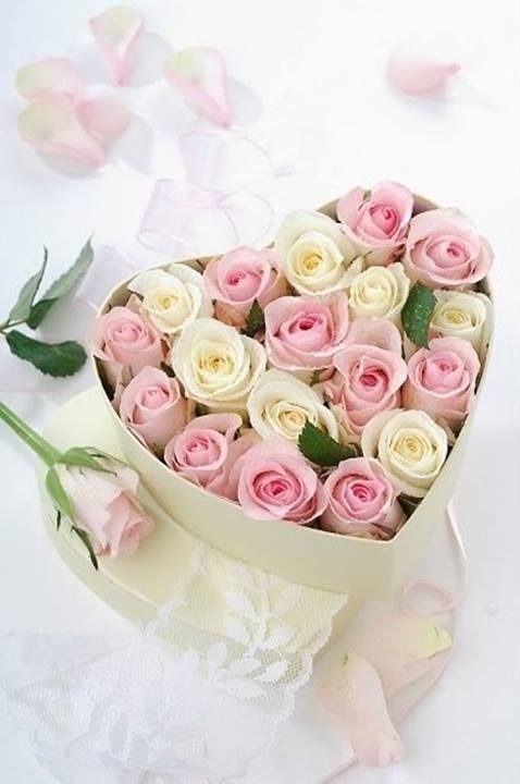 rose, lovely, vintage and roses