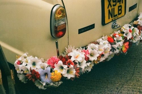 floral, classic car and sixties