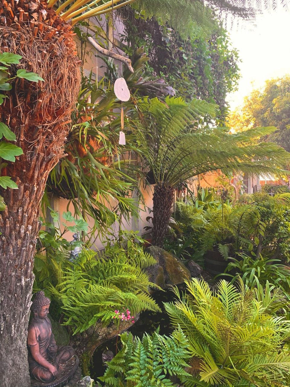 amino, california, aesthetic and wedding chapel