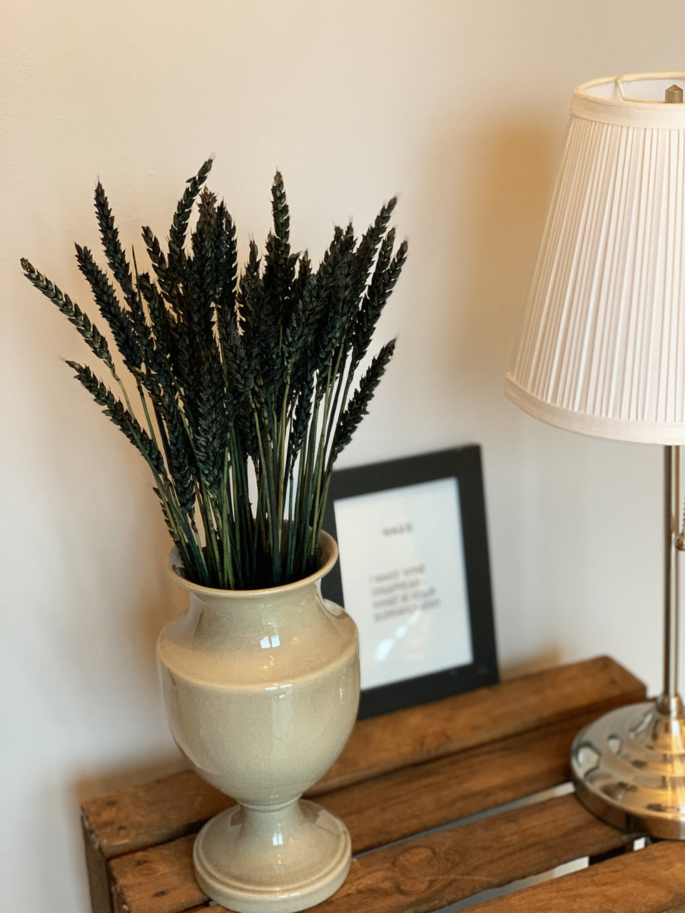 decor, flower, black beauty and inspiration