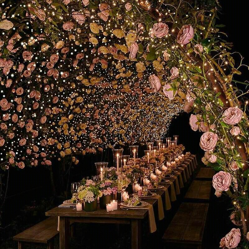 roses, wedding goals and wedding decorations
