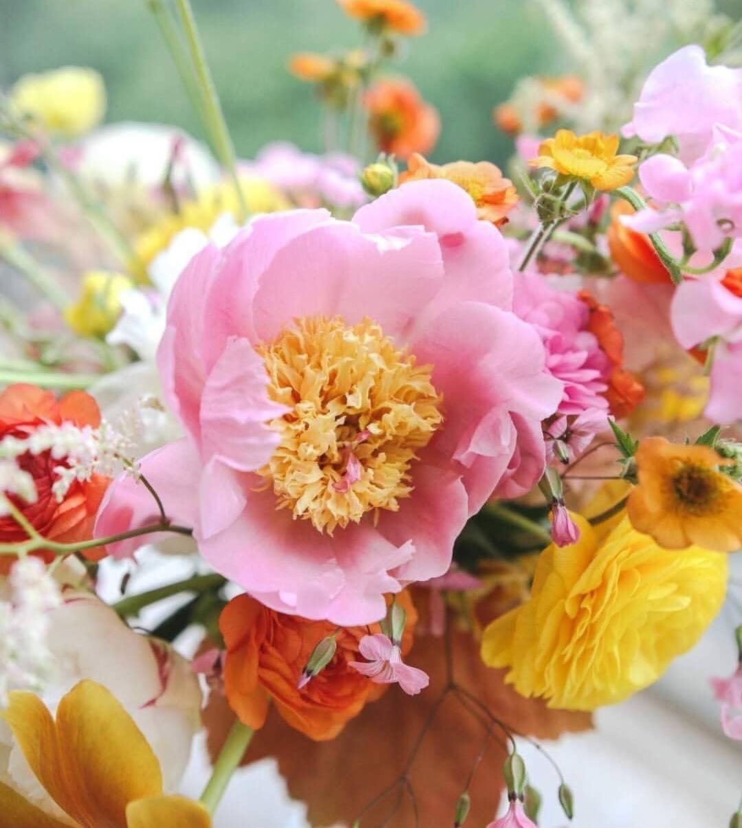 wallpaper, bouquet, wallpapers and nature