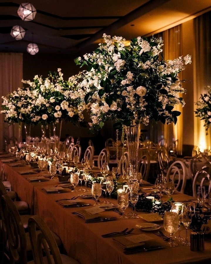 couples, groom, rings and wife