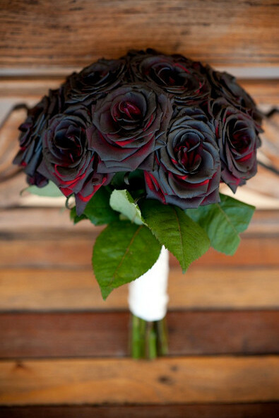 perla hudson and slash wedding