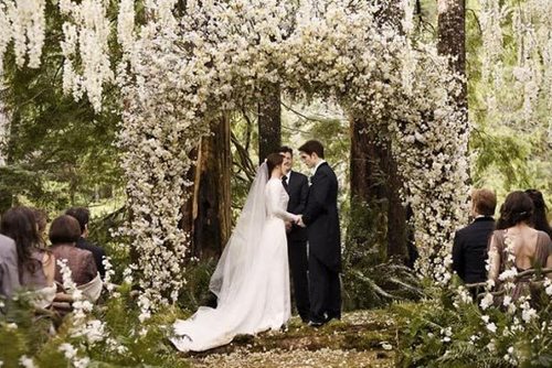 bella swan, renesmee and wedding photography