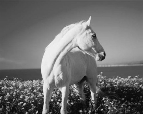 nature, travel and image