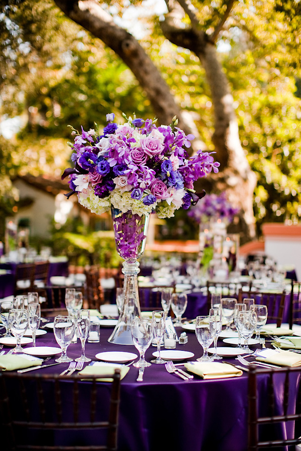 purple, wedding reception and purple reception