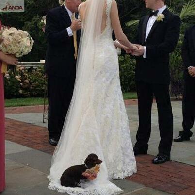 lovely, happy couple and adorable