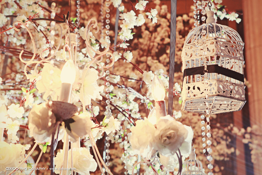 white, black and white, beautiful and cute