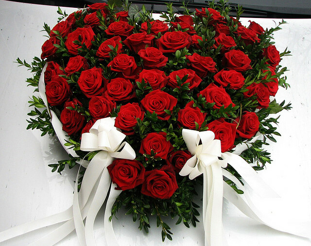 flowers, red, roses and bouquet