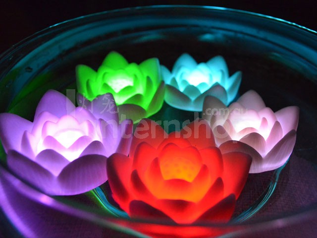 party ideas, colors, floating flower and party light