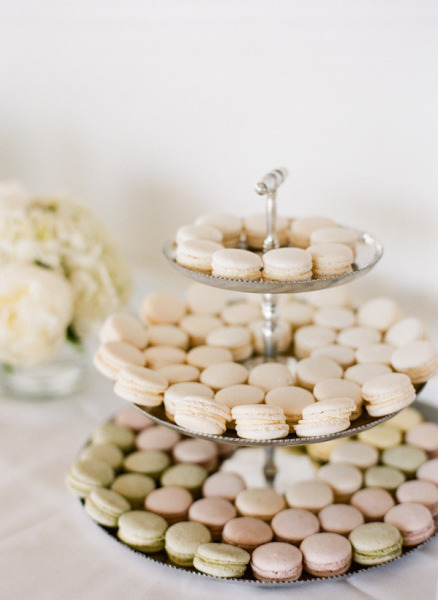 chocolate, sugar and cookie