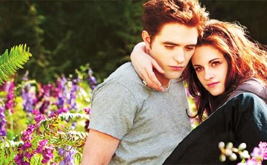 breaking dawn, flowers and 2