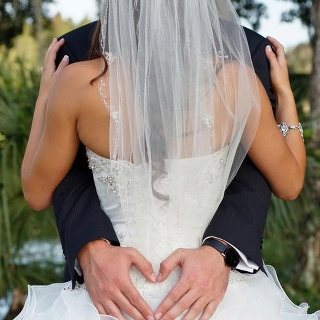bride, pretty and vail