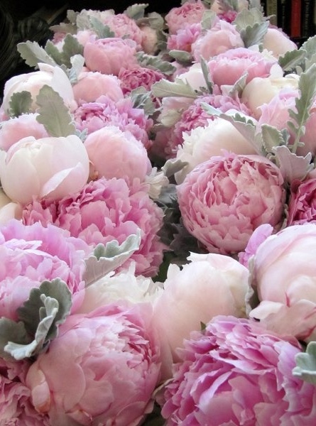 pink, spring and sweet
