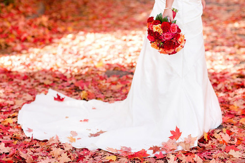 flowers, autumn and dress