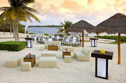 beach, flowers and luxury