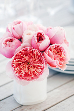 home, flowers and roses
