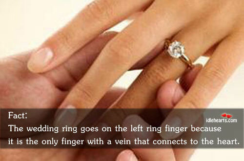 vein, left finger and heart
