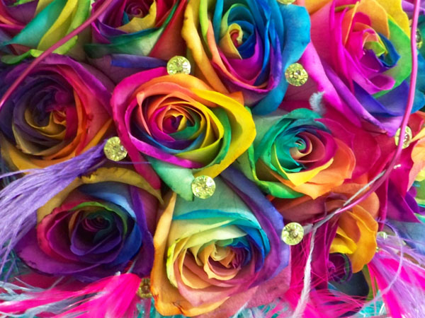 blue, roses and rainbow wedding