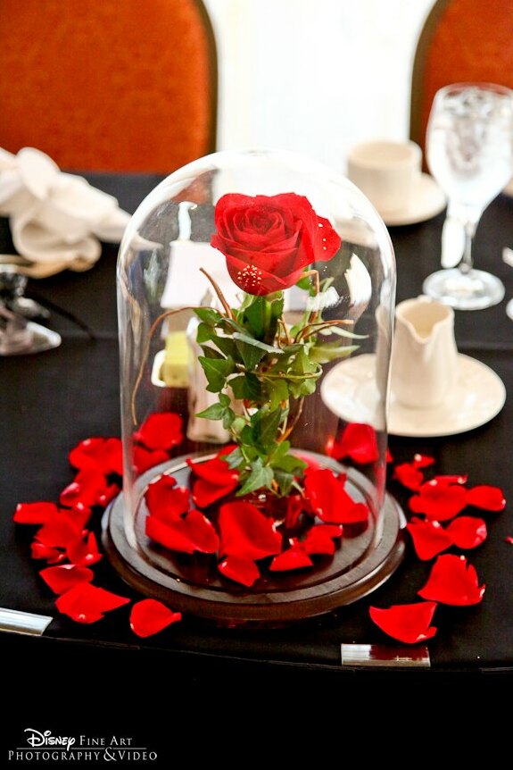 rose, disney, love and beauty and the beast