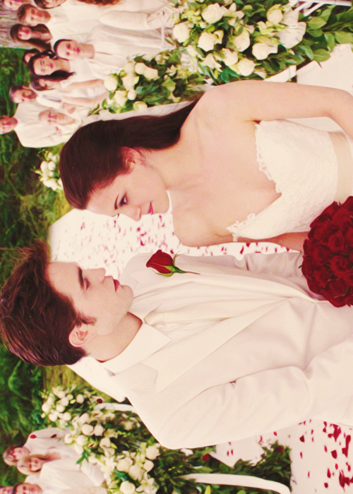 twilight, aira, beward and kristen stewart