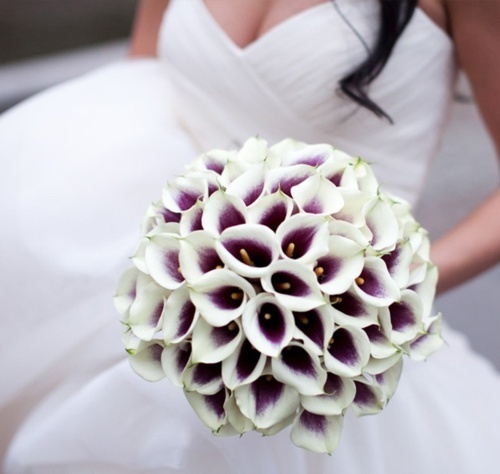 purple, bride, lilies and flowers